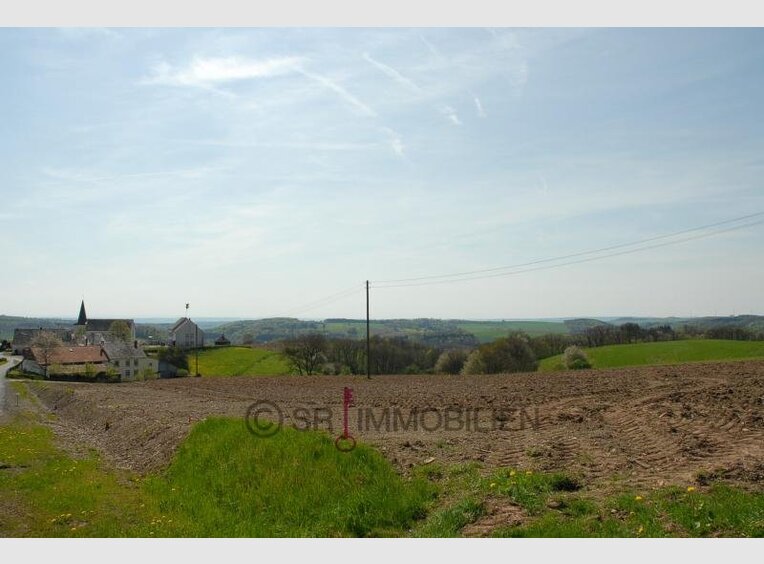 Terrain constructible à vendre à Altscheid (DE) - Réf. 6660934