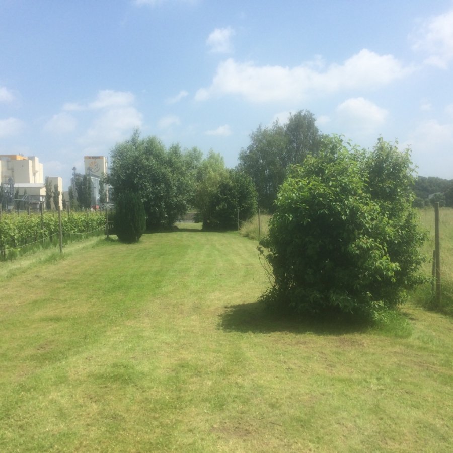 Terrain constructible à vendre à Schwebsange