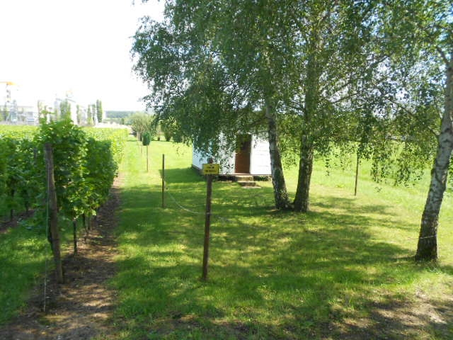 Terrain constructible à vendre à Schwebsange