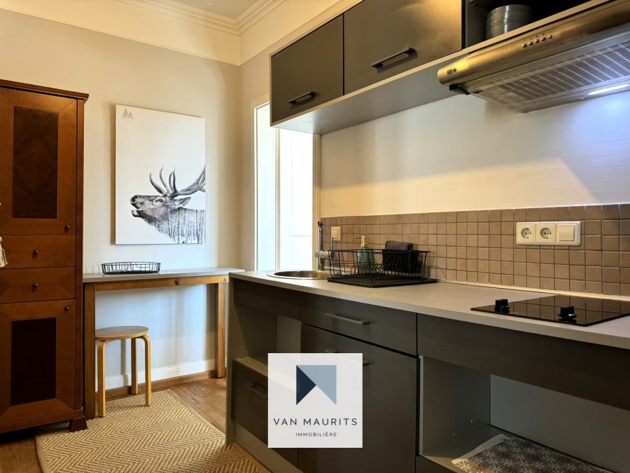 Appartement à louer 1 chambre à Luxembourg-Belair