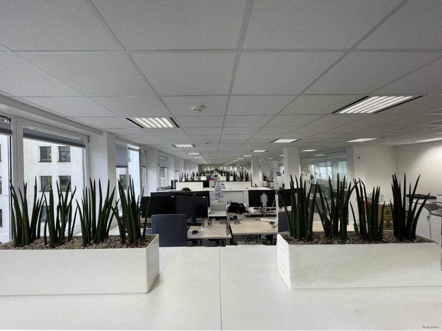 louer bureau 0 chambre 683 m² luxembourg photo 7