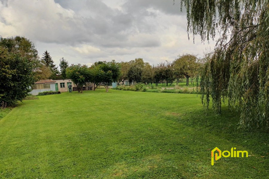 Terrain constructible