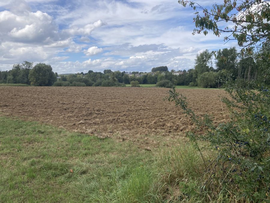 Terrain constructible