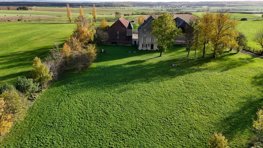 Herrenhaus zu verkaufen F20 in Kirschnaumen