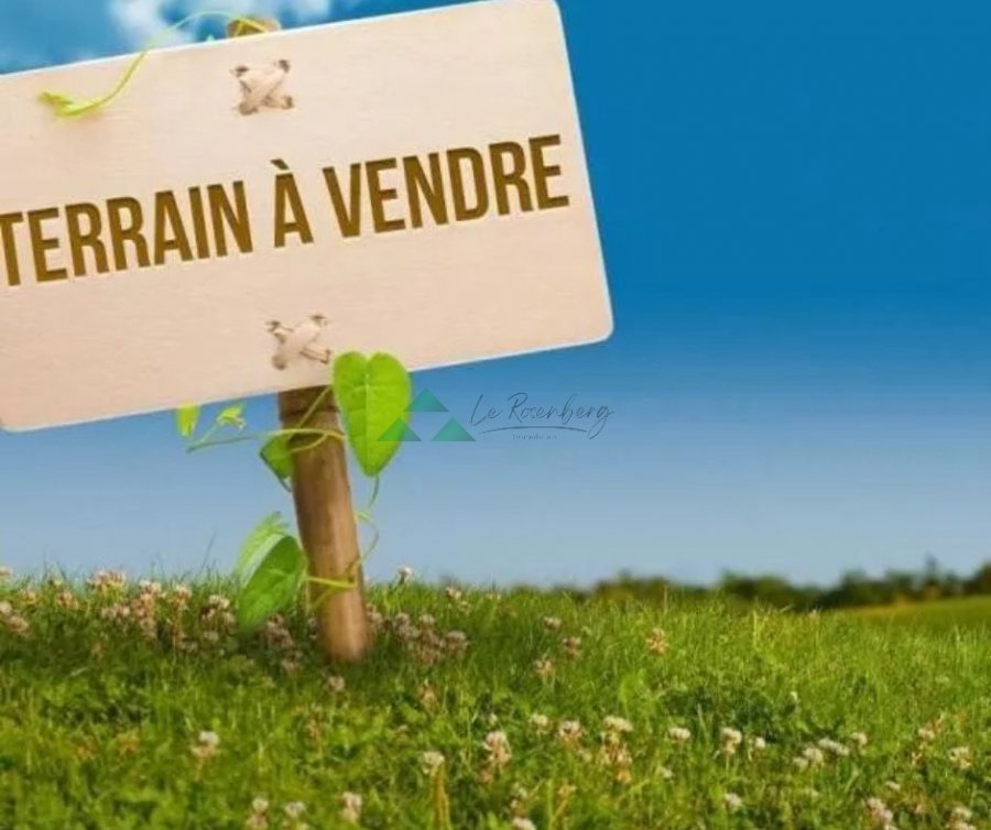 Terrain constructible