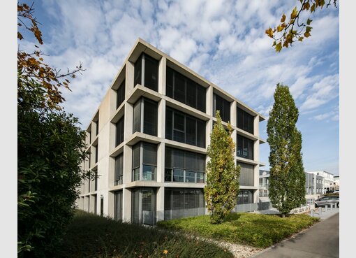 Bureau à louer à Luxembourg (LU) - Réf. 7098183