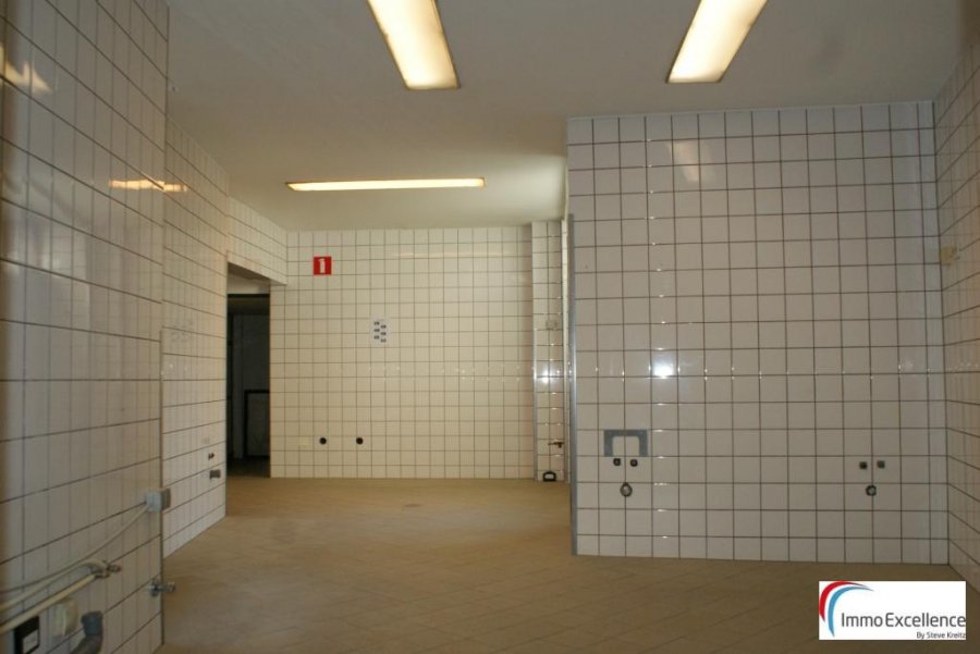 Renditeobjekt / Mehrfamilienhaus zu kaufen in Echternach