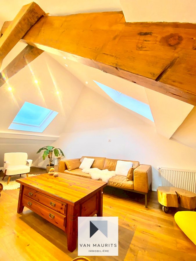 Duplex