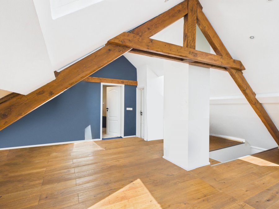 Duplex