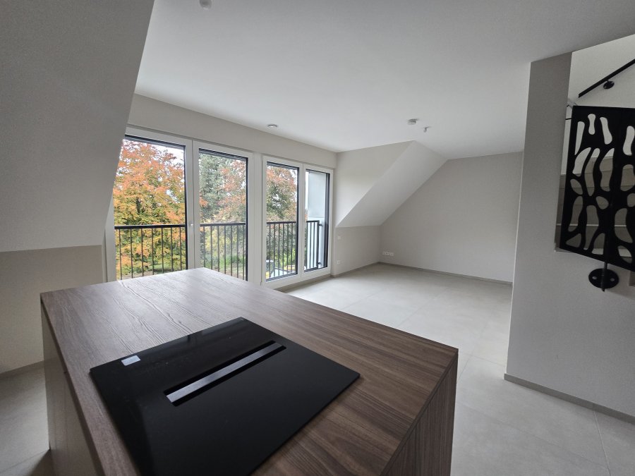 Duplex