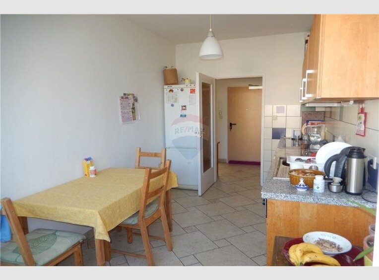 Wohnung zur Miete 1 Zimmer in Luxembourg (LU) - Ref. 6788743