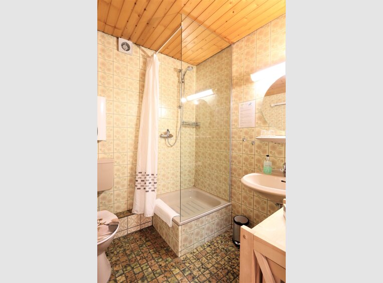 Investment building for rent 18 rooms in Traben-Trarbach (DE) - Ref. 7098007