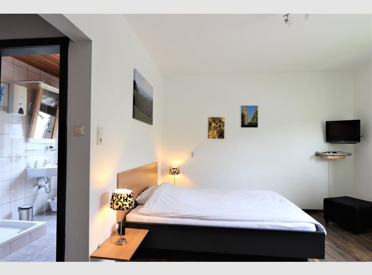 Investment building for rent 18 rooms in Traben-Trarbach (DE) - Ref. 7098007