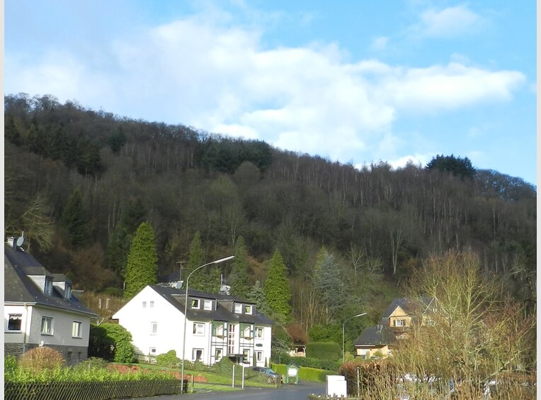 Investment building for rent 18 rooms in Traben-Trarbach (DE) - Ref. 7098007