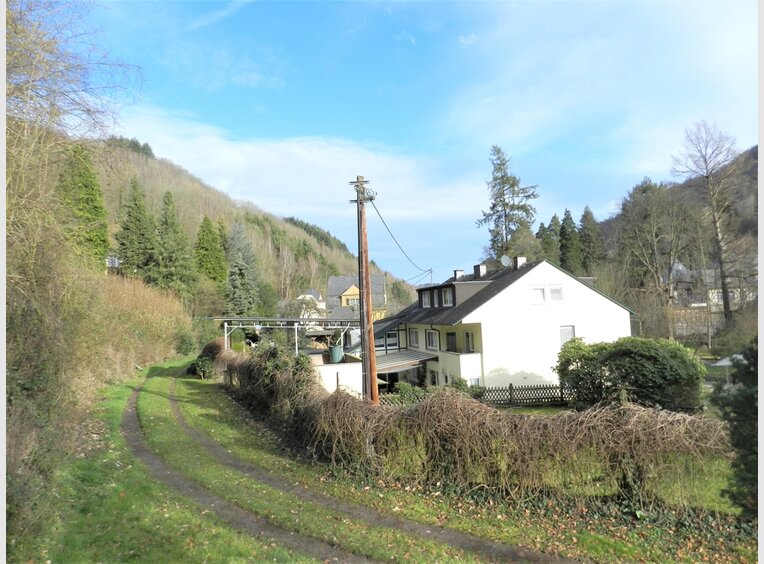 Investment building for rent 18 rooms in Traben-Trarbach (DE) - Ref. 7098007