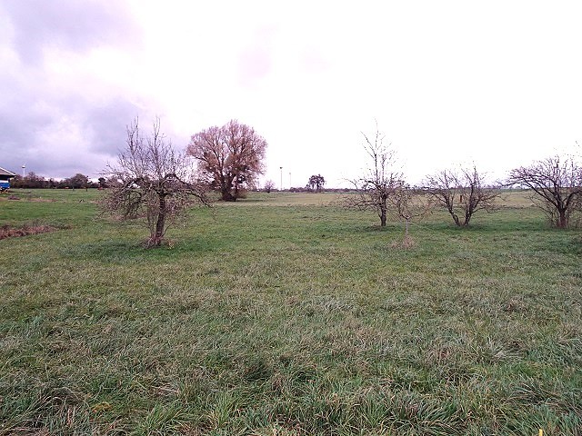 Terrain constructible