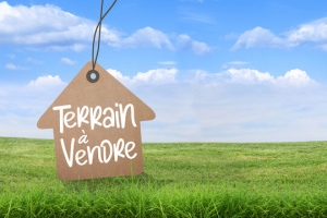 Terrain constructible