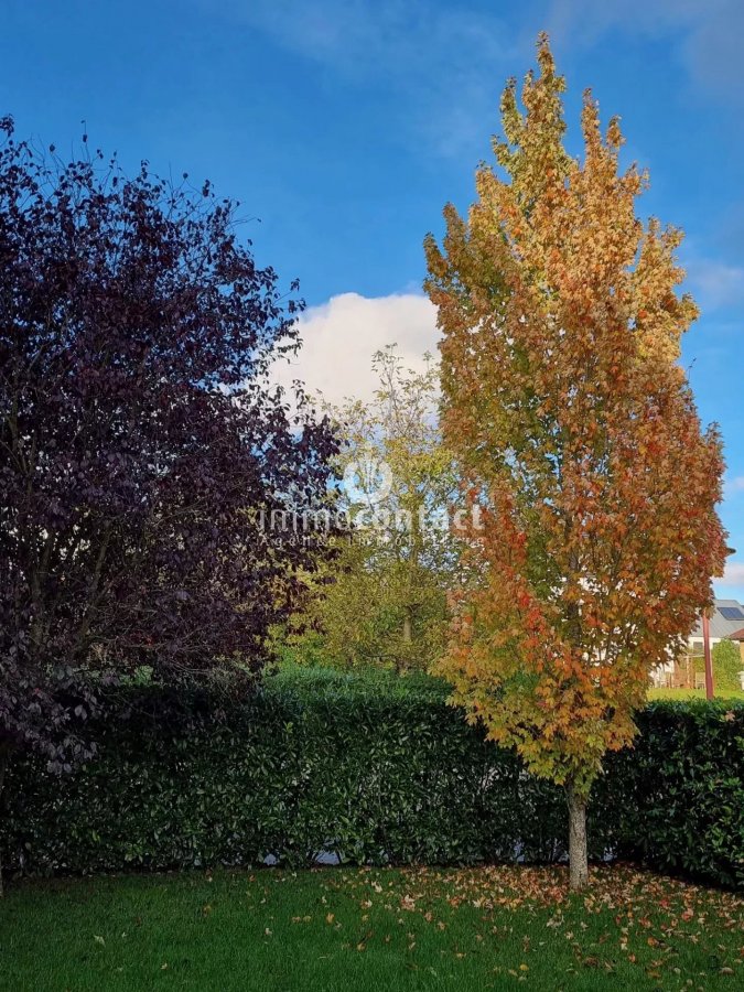 Maison à vendre 5 chambres à Steinsel