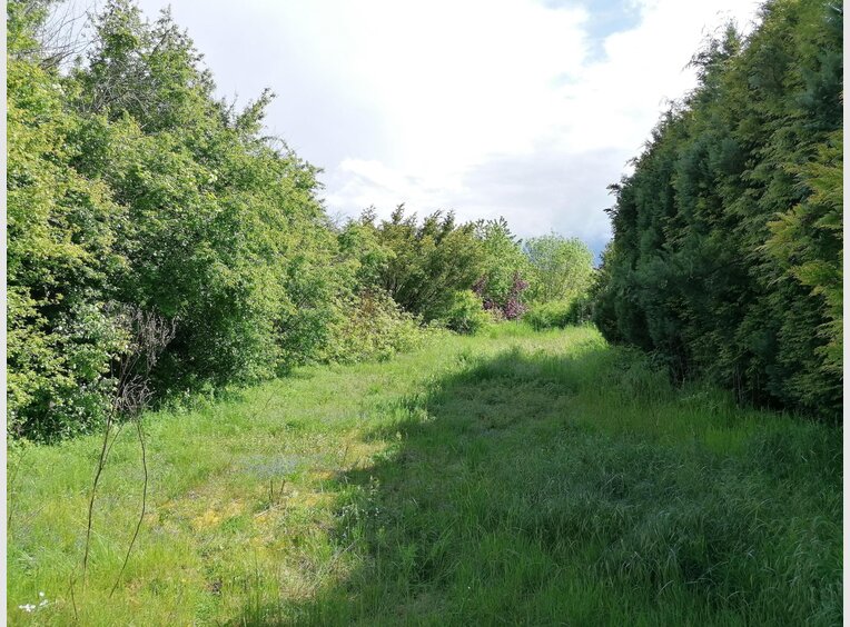 Maison à vendre 7 Pièces à Wallerfangen (DE) - Réf. 7230216