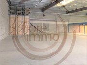 Entrepôt à louer à Steinsel - Réf. 7295256