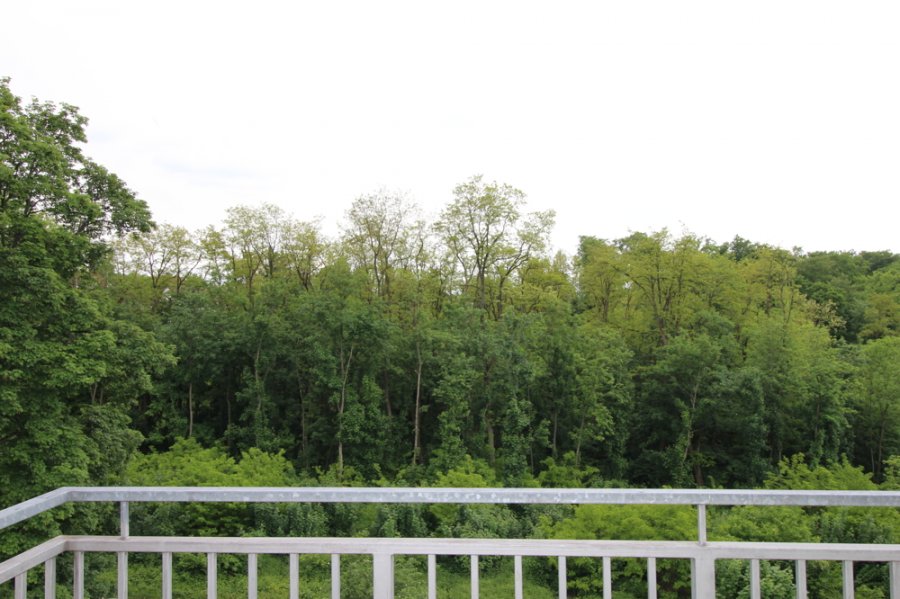 Wohnung Mieten Saarbrucken 64 M 550 Athome