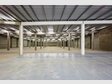 Entrepôt à louer à Contern (LU) - Réf. 7335192