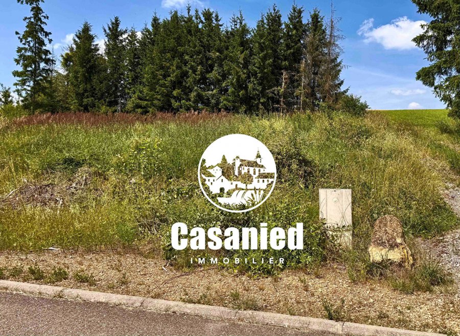 Terrain constructible