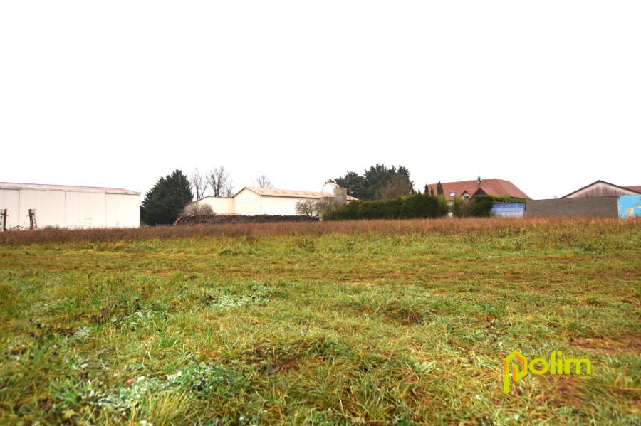 Terrain constructible