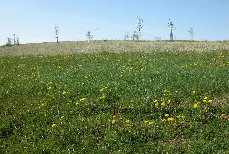 Terrain constructible