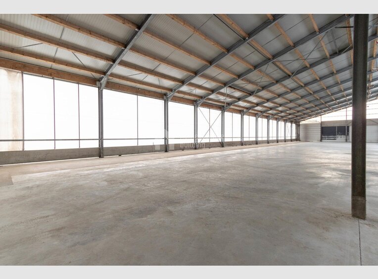 Warehouse for rent in Leidenborn (DE) - Ref. 7026008