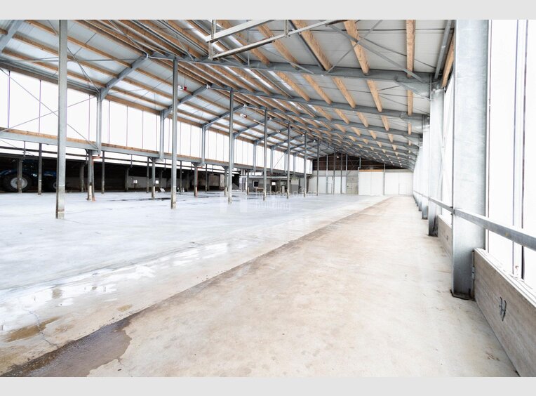 Warehouse for rent in Leidenborn (DE) - Ref. 7026008