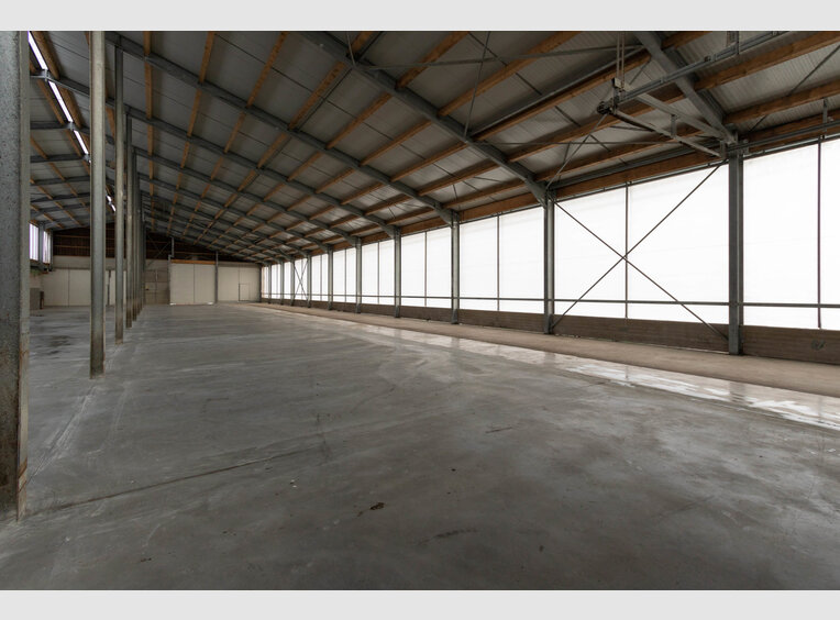 Entrepôt à louer à Leidenborn (DE) - Réf. 7026008