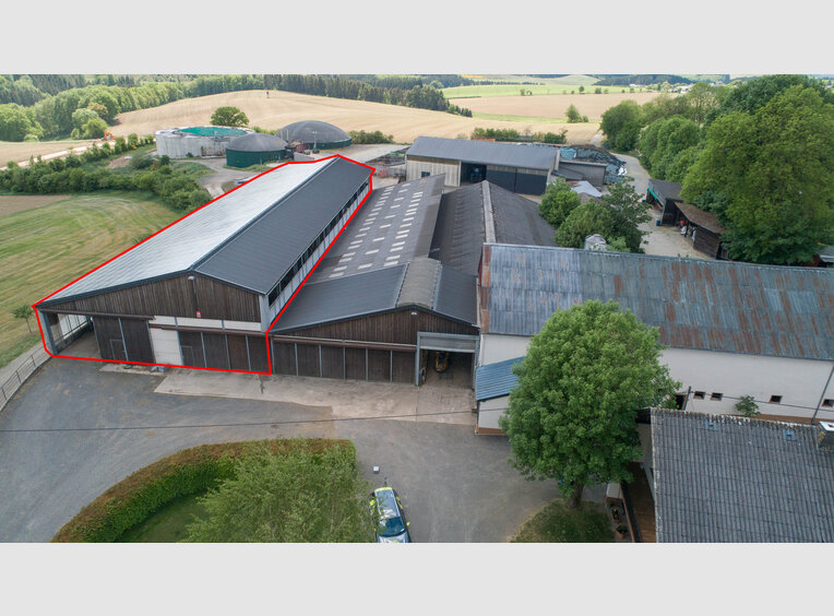 Entrepôt à louer à Leidenborn (DE) - Réf. 7026008