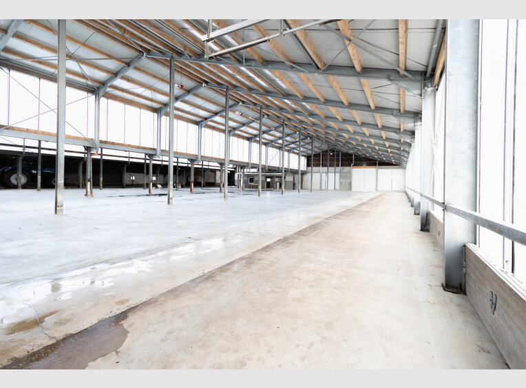 Entrepôt à louer à Leidenborn (DE) - Réf. 7026008