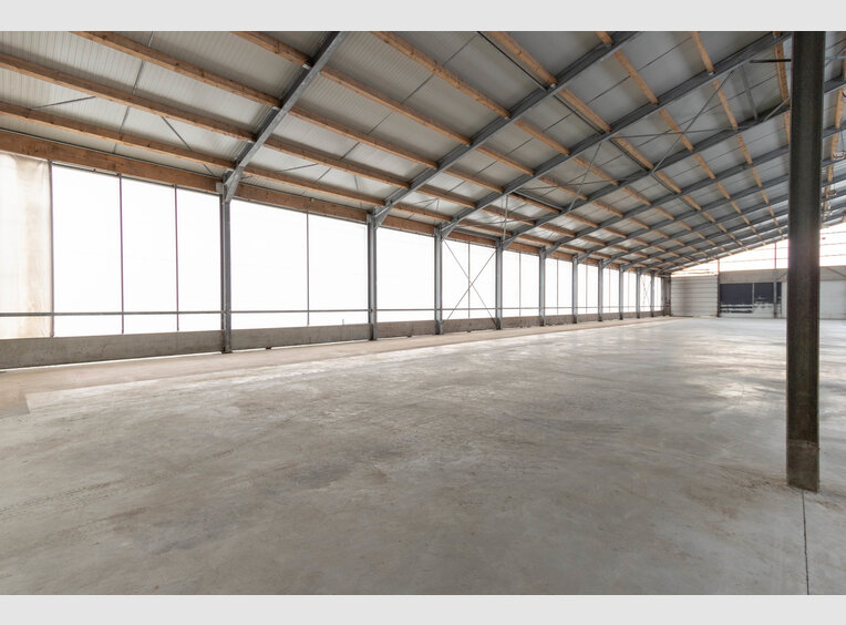 Entrepôt à louer à Leidenborn (DE) - Réf. 7026008