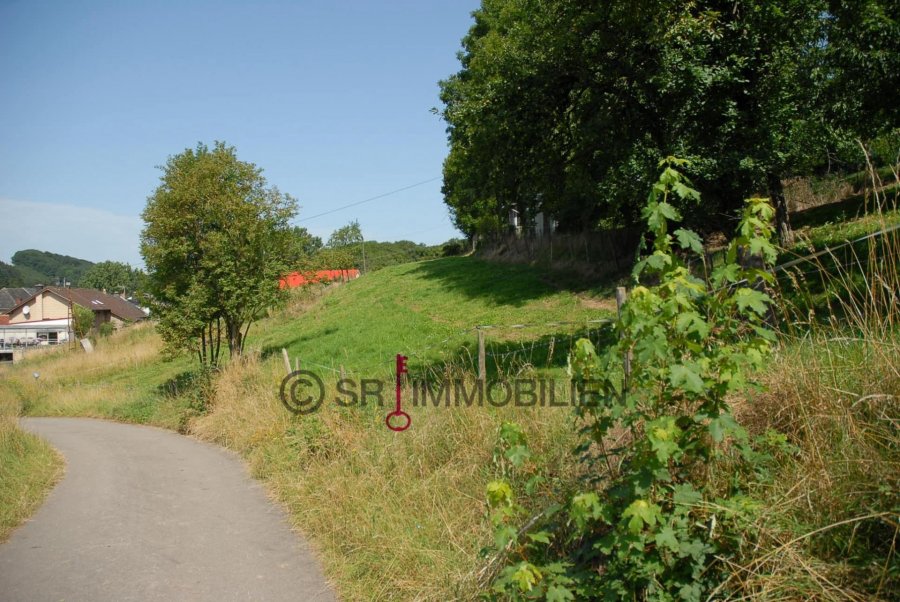 Terrain constructible à vendre à Körperich