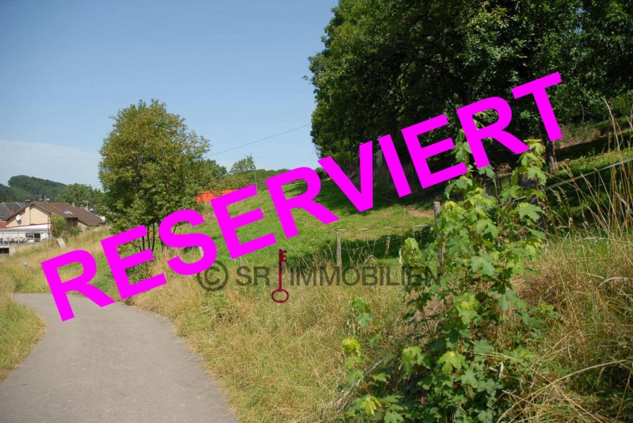 Terrain constructible