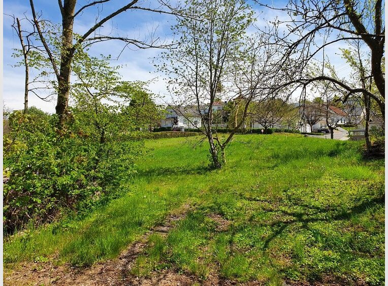 Haus zum Kauf 9 Zimmer in Bitburg (DE) - Ref. 7204696