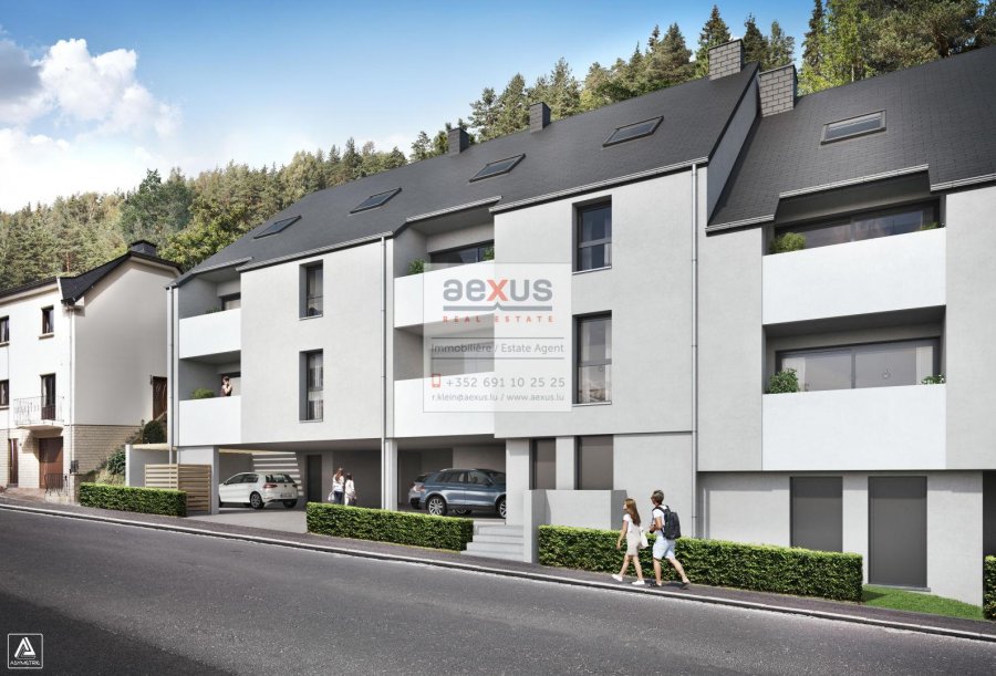 Duplex