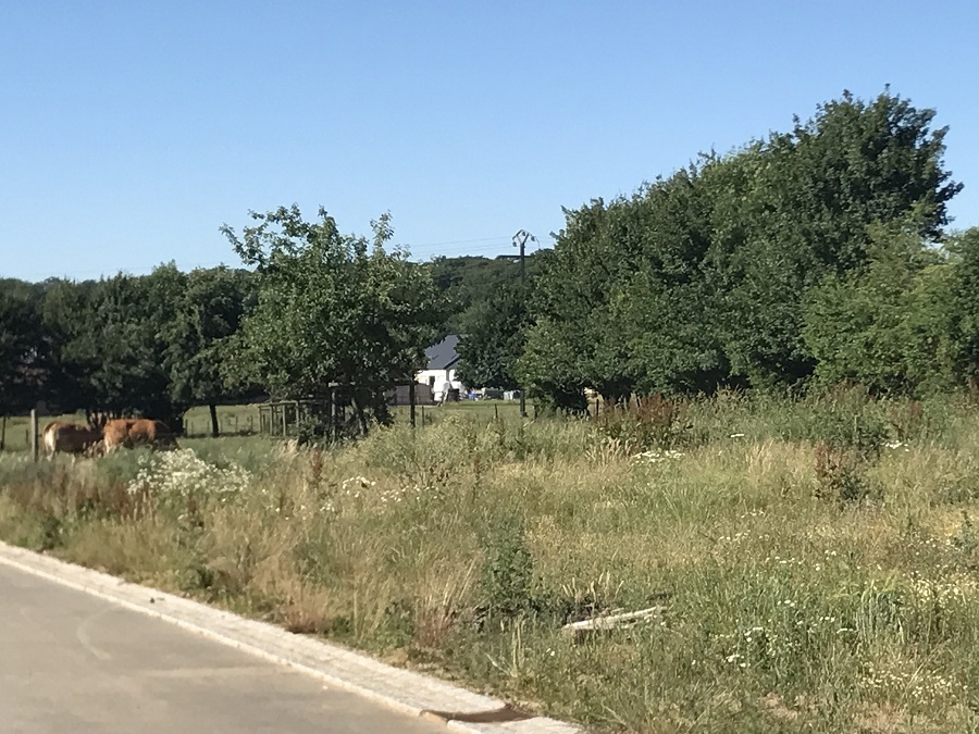 Terrain à vendre à Dahlem