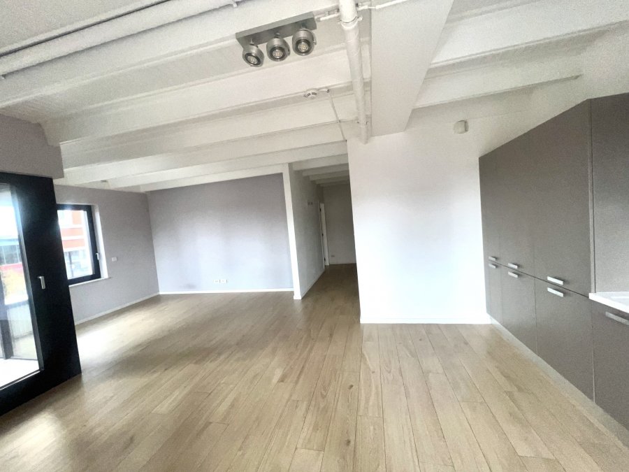 Appartement à louer 1 chambre à Belval