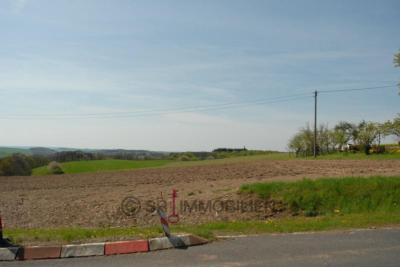 Terrain constructible