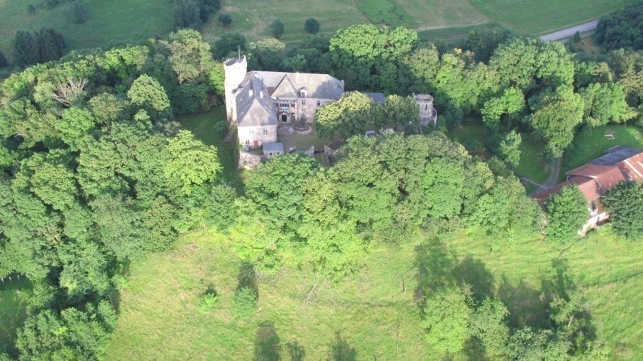 Château à vendre F30 à Ham-sous-Varsberg