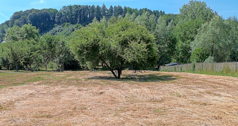 Terrain constructible