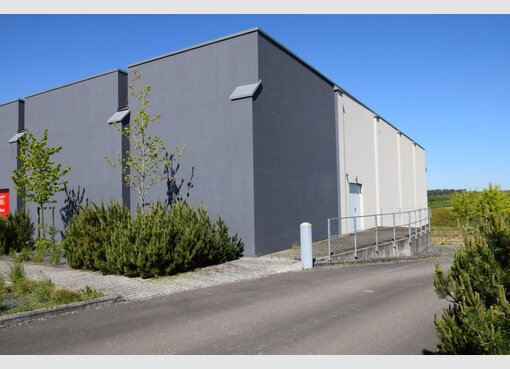 Entrepôt à louer à Mersch (LU) - Réf. 6485065