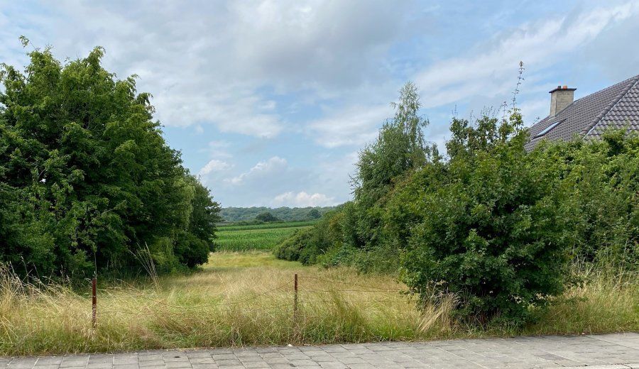 Terrain constructible