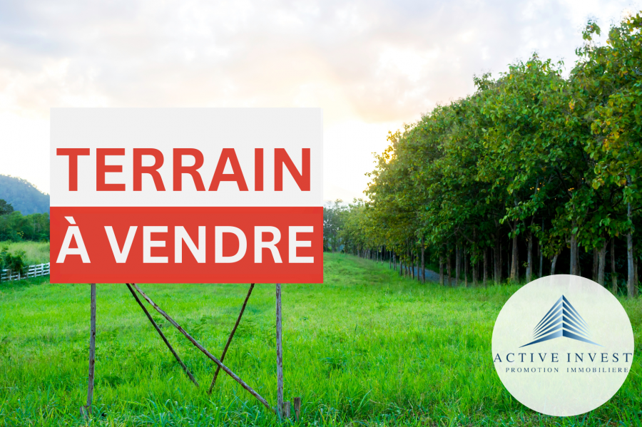 Terrain constructible