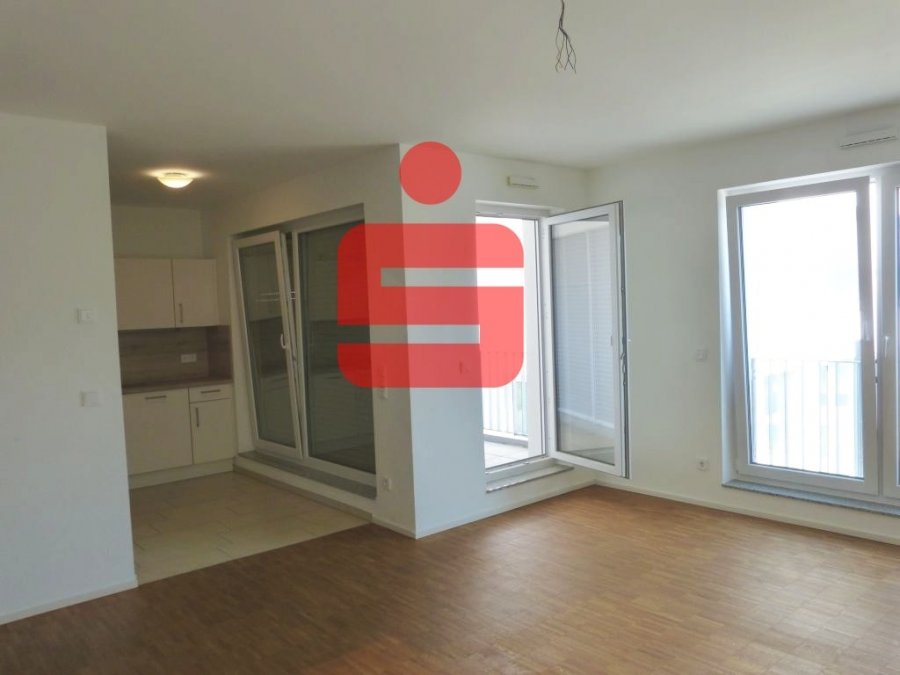 Single wohnung bitburg