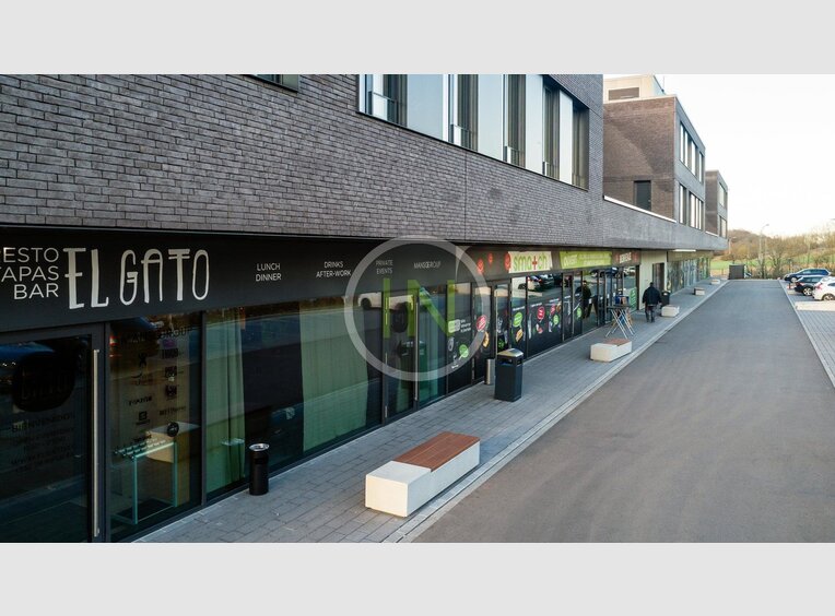 Local commercial à louer à Leudelange (LU) - Réf. 6962521
