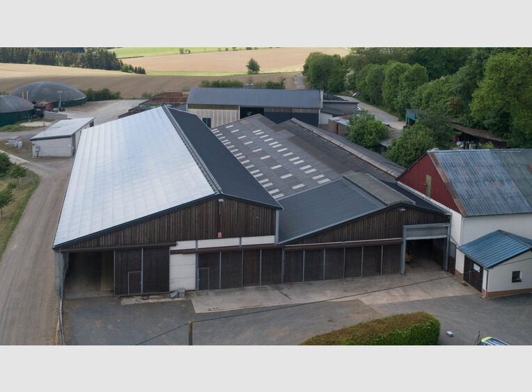 Entrepôt à louer à Leidenborn (DE) - Réf. 7026025